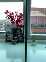 Alba (D9), Apartment #486596421